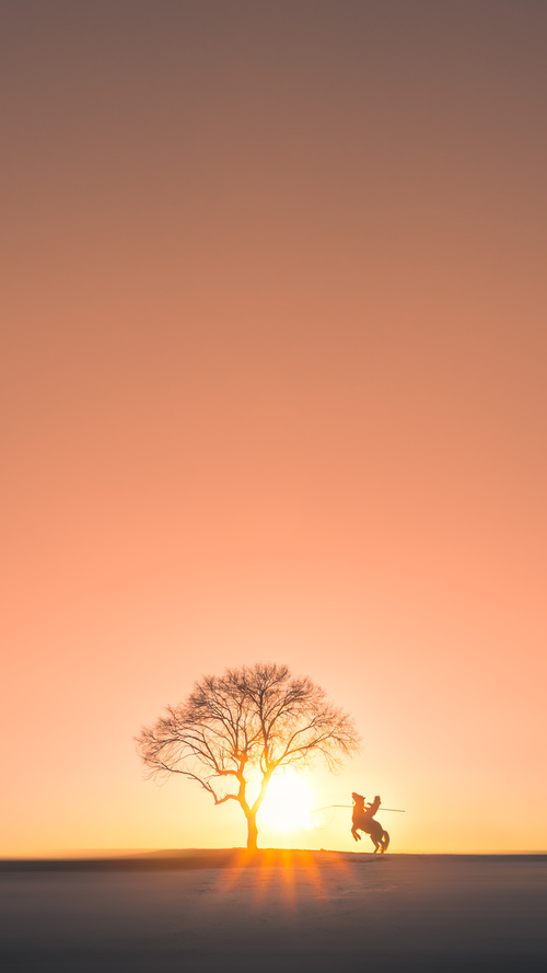 亚洲足坛风云再起 中国女足实力跻身国际之巅,中国女足在亚洲杯最好成绩
