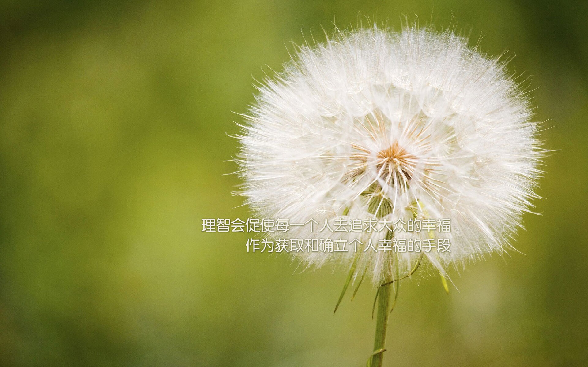 北京国安球队体能提升显著,北京国安足球队实力