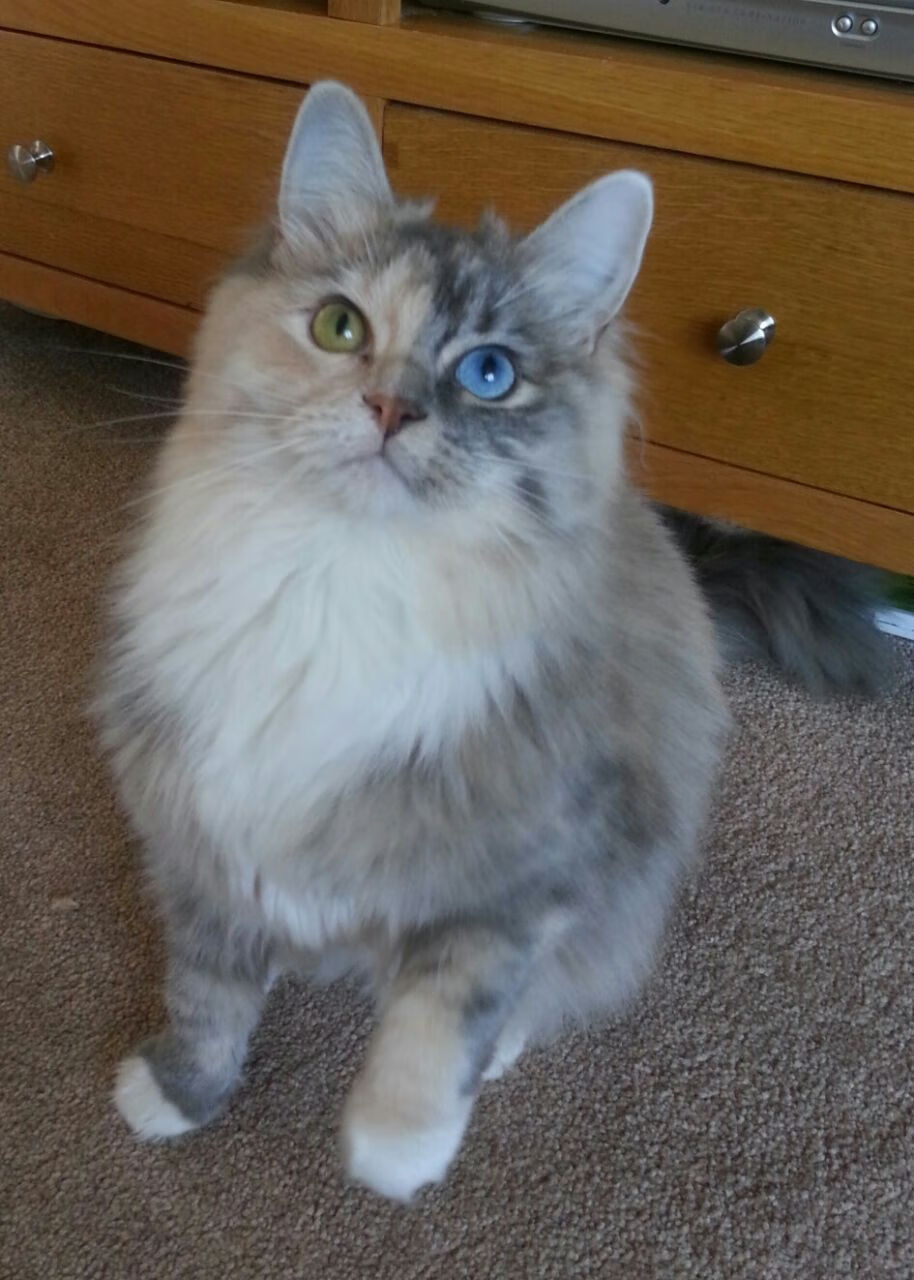 首尔SK骑士防守端表现突出,首尔骑士篮球比分