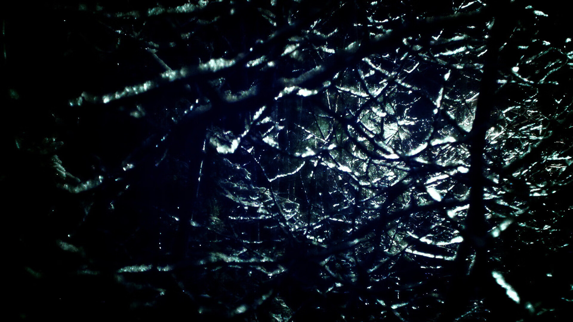 NBA球员赛场表现细节,nba赛场上的球员