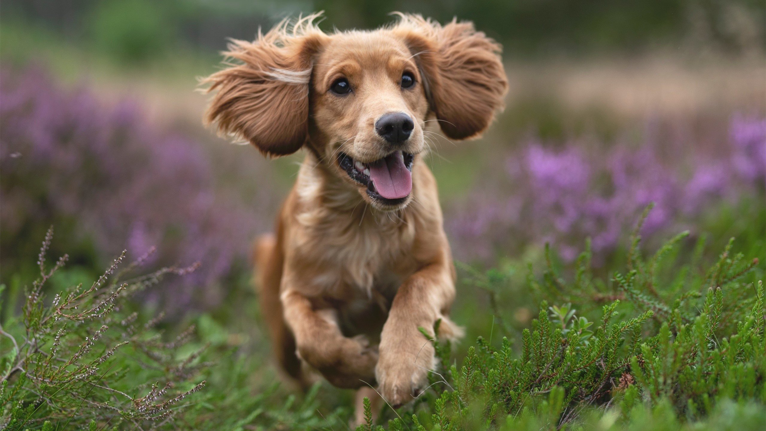NBA球员赛场表现细节,nba赛场上的球员