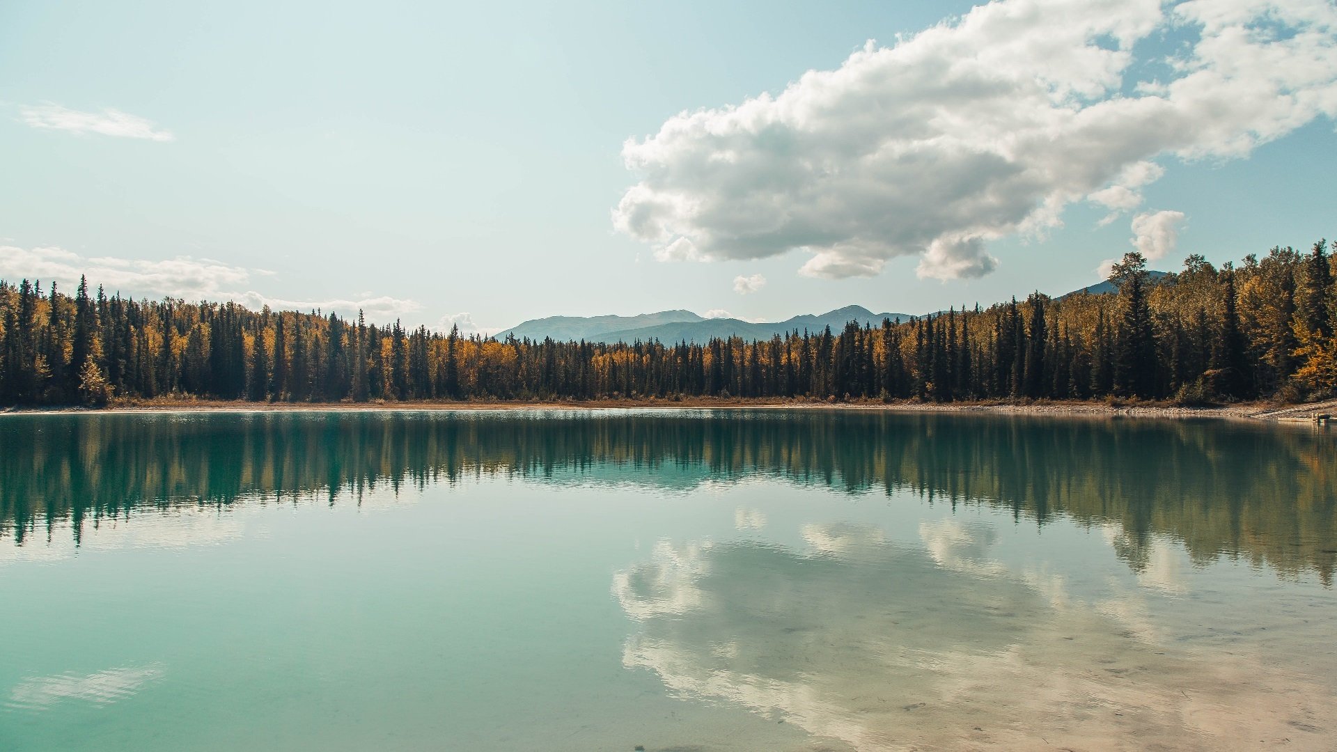 中国足球关键进攻回合执行力统计，中国足球归化要求