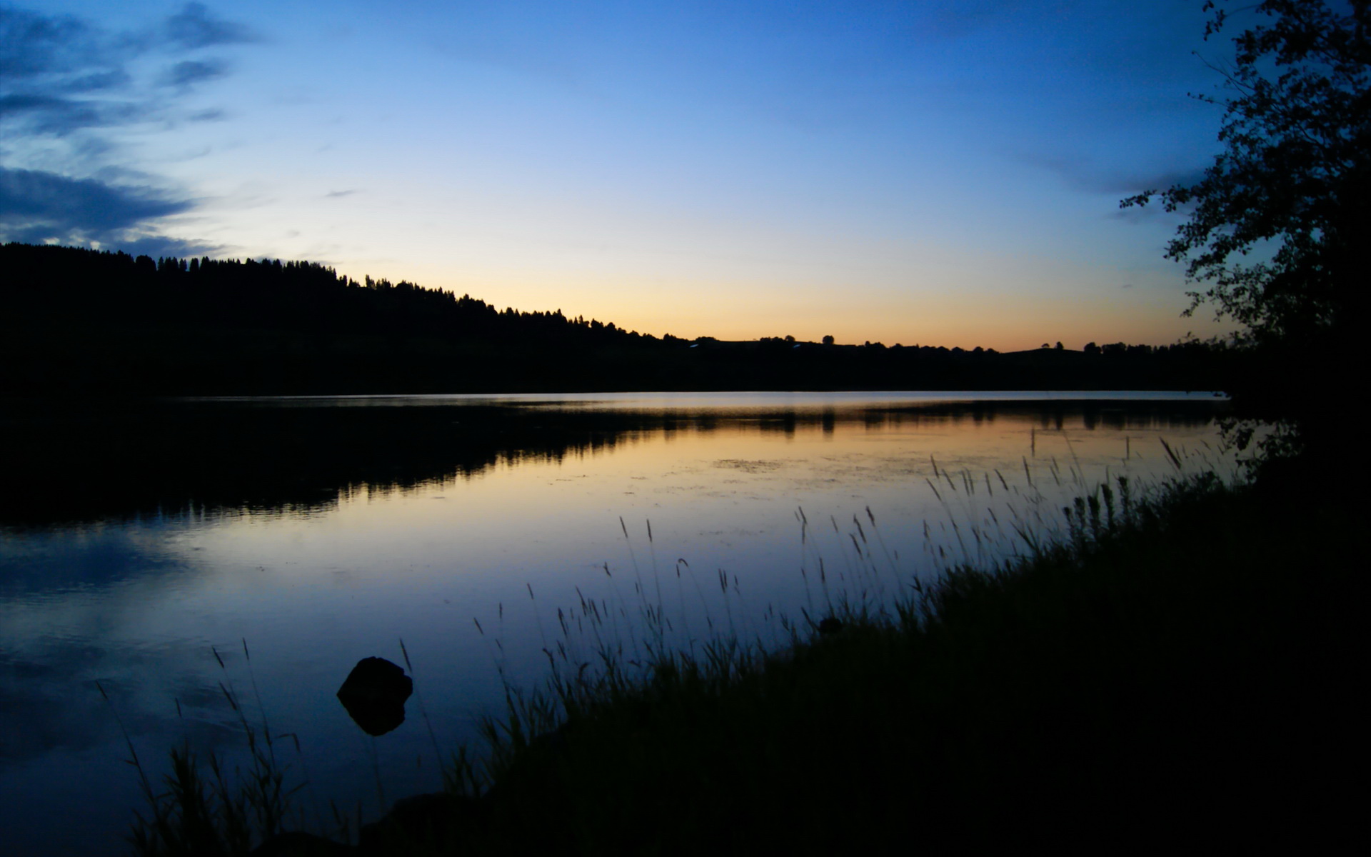 全国城际定向越野赛青少年组吸引众多参赛者，全国定向越野锦标赛