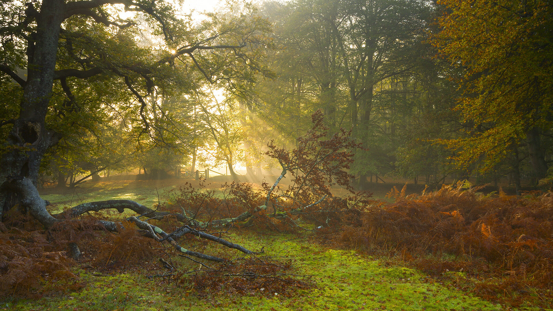 中国男篮快速轮转提升整体防守质量，中国 男篮