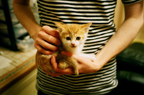 职业球员个人技术评估缺少对手对比维度，球员综合能力评估表