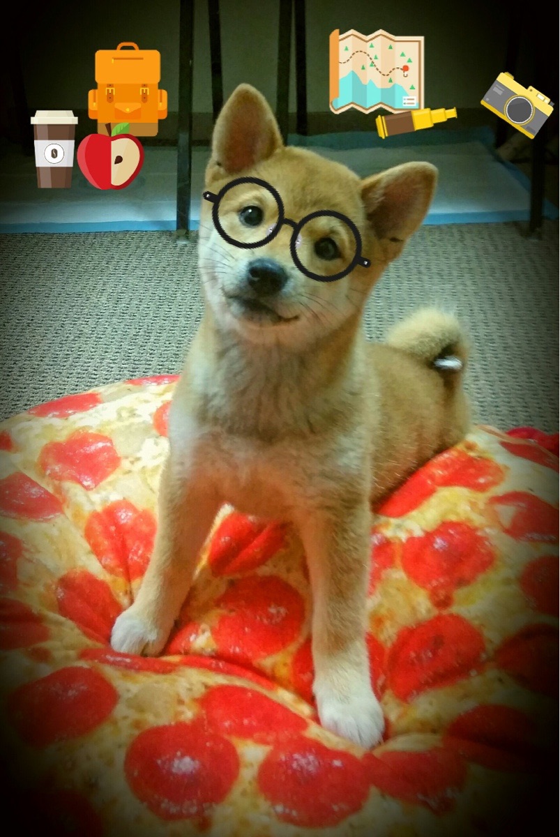 乐鱼（中国）体育官方网站-德甲赛场激烈：瞬间突破赢得喝彩！，德甲官方视频