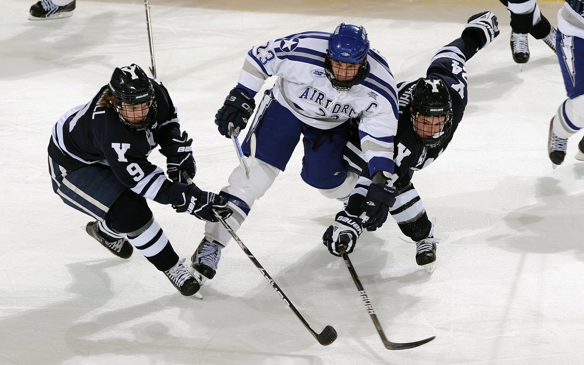 乐鱼体育平台-中国高校篮球教练员培训基地建设全面推进，全国校园篮球训练师
