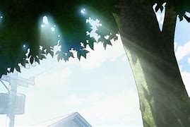 关于"NBA新秀的培训：从大学到职业的路径"的信息