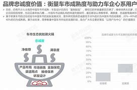 包含"球迷的忠诚度：如何利用品牌增强粘性"的词条